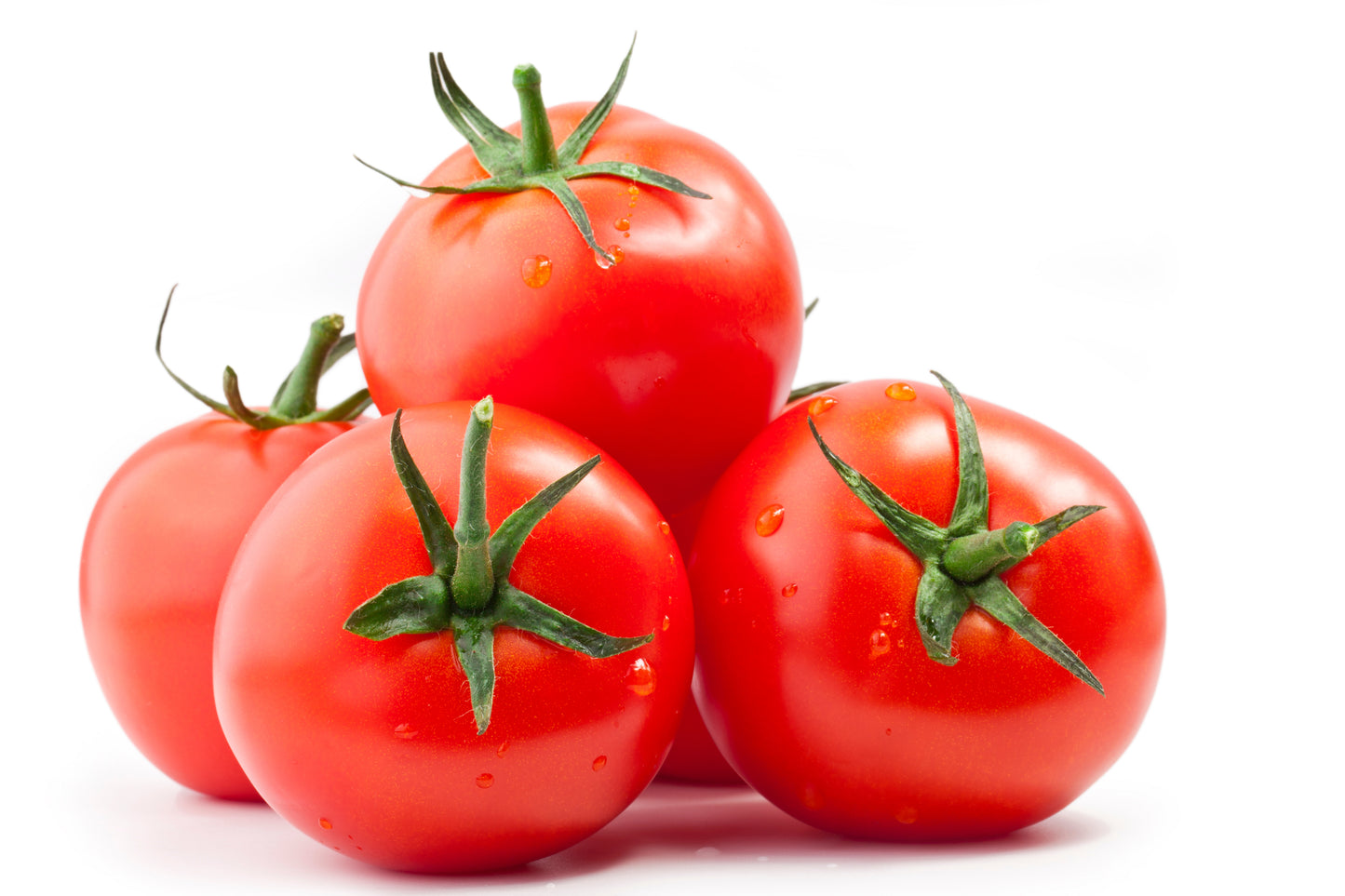 Gourmet Tomatoes Each 99 cents
