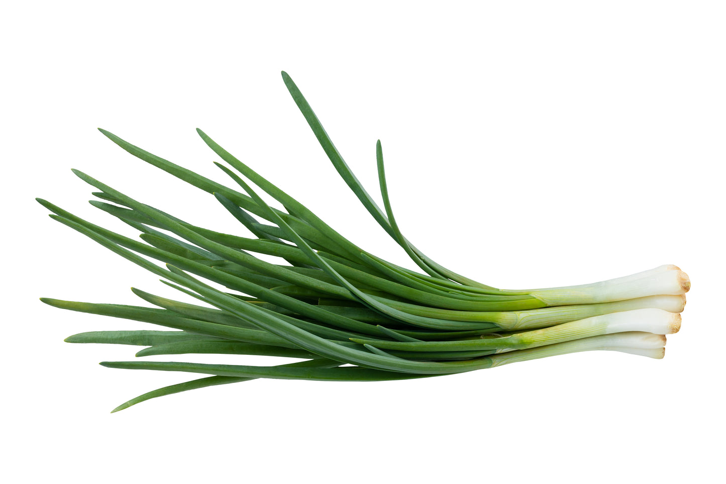 Shallots per bunch $2- Organic direct from our farm.