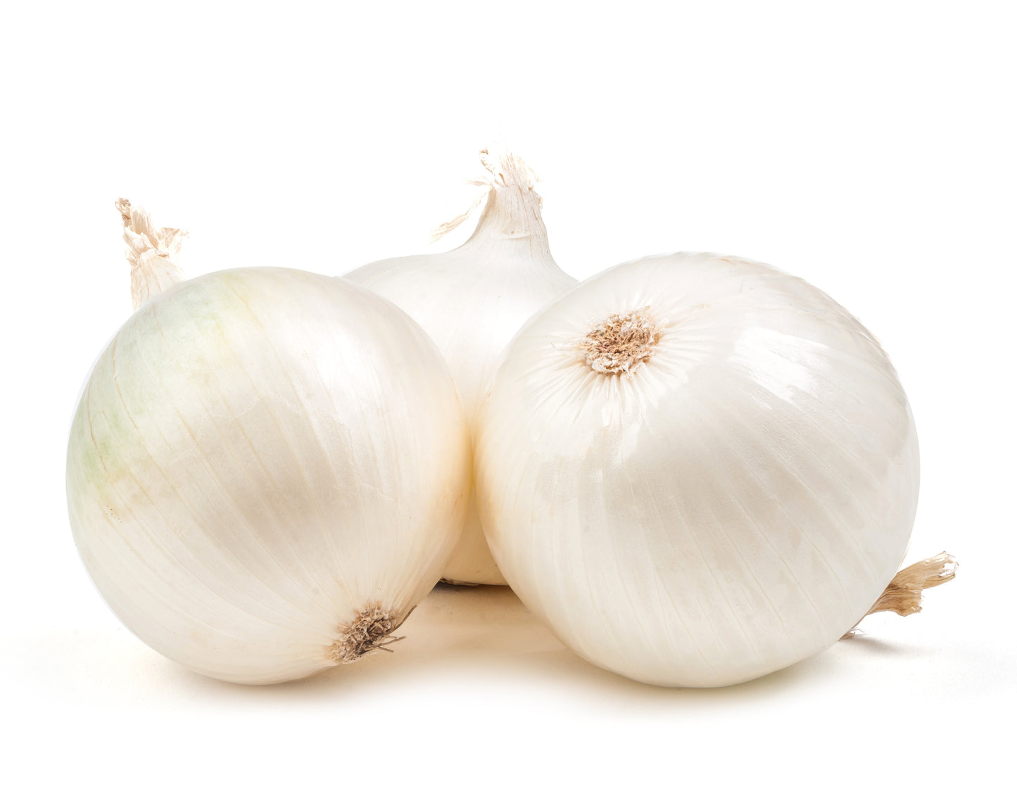 Premium white onions (each) $1