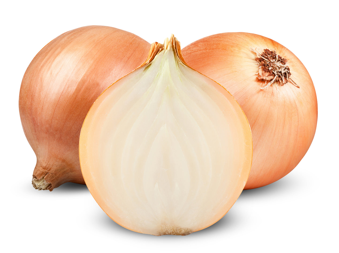 Brown Onions per bag $2.00 (4 per bag)