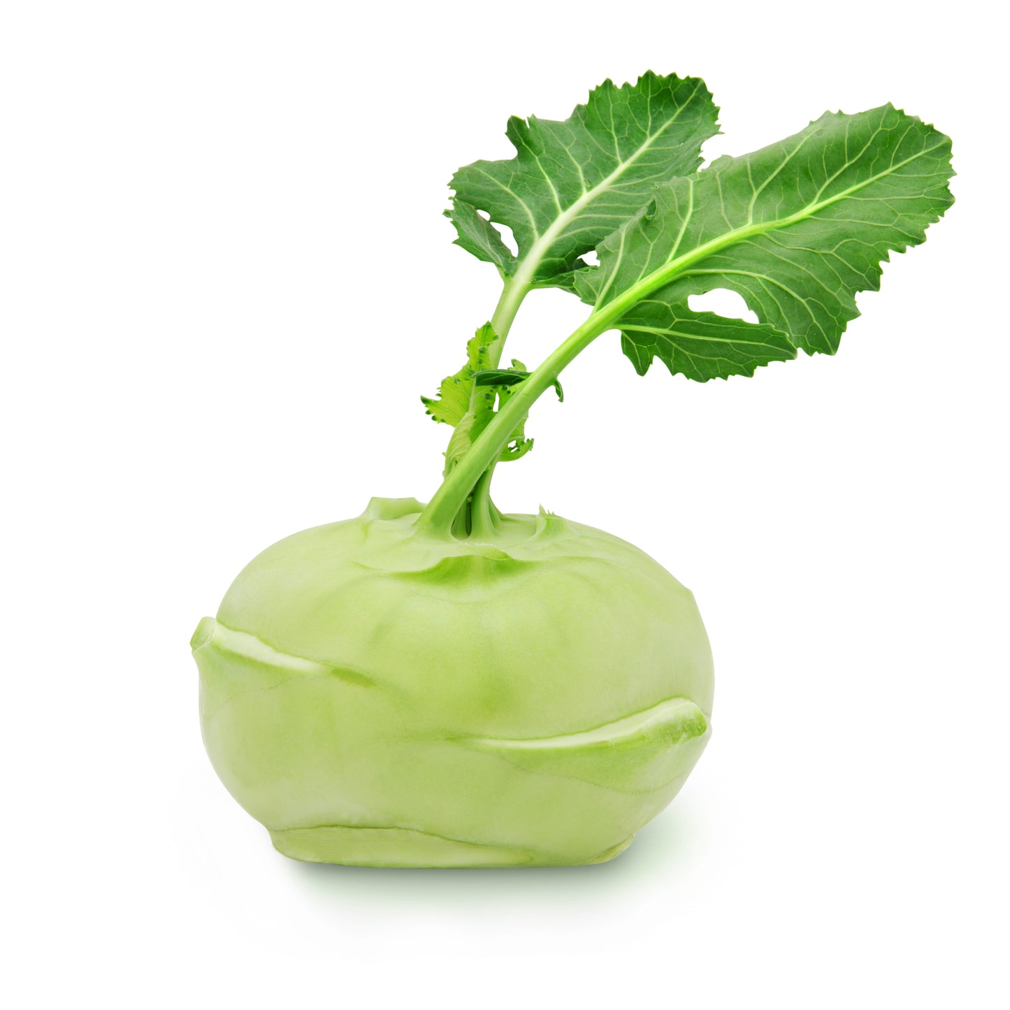 Kohlrabi $2 each