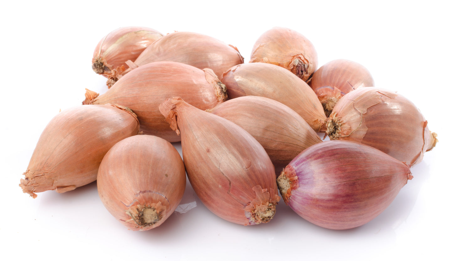 French shallots 20 cents each