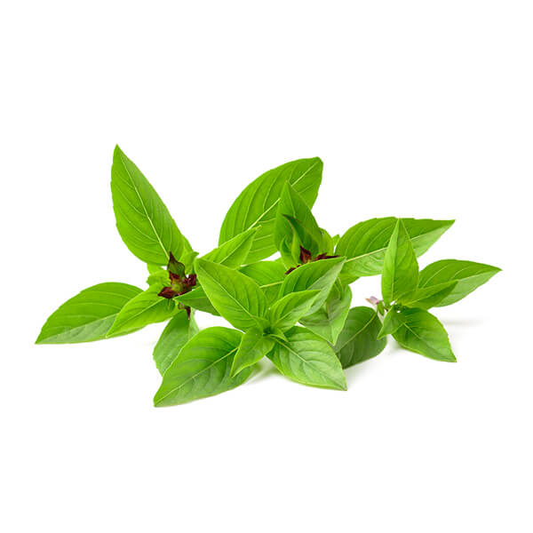 Thai Basil per bunch $4.99