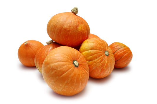 Golden Nugget Pumpkin $1 each Fresh from our farm.