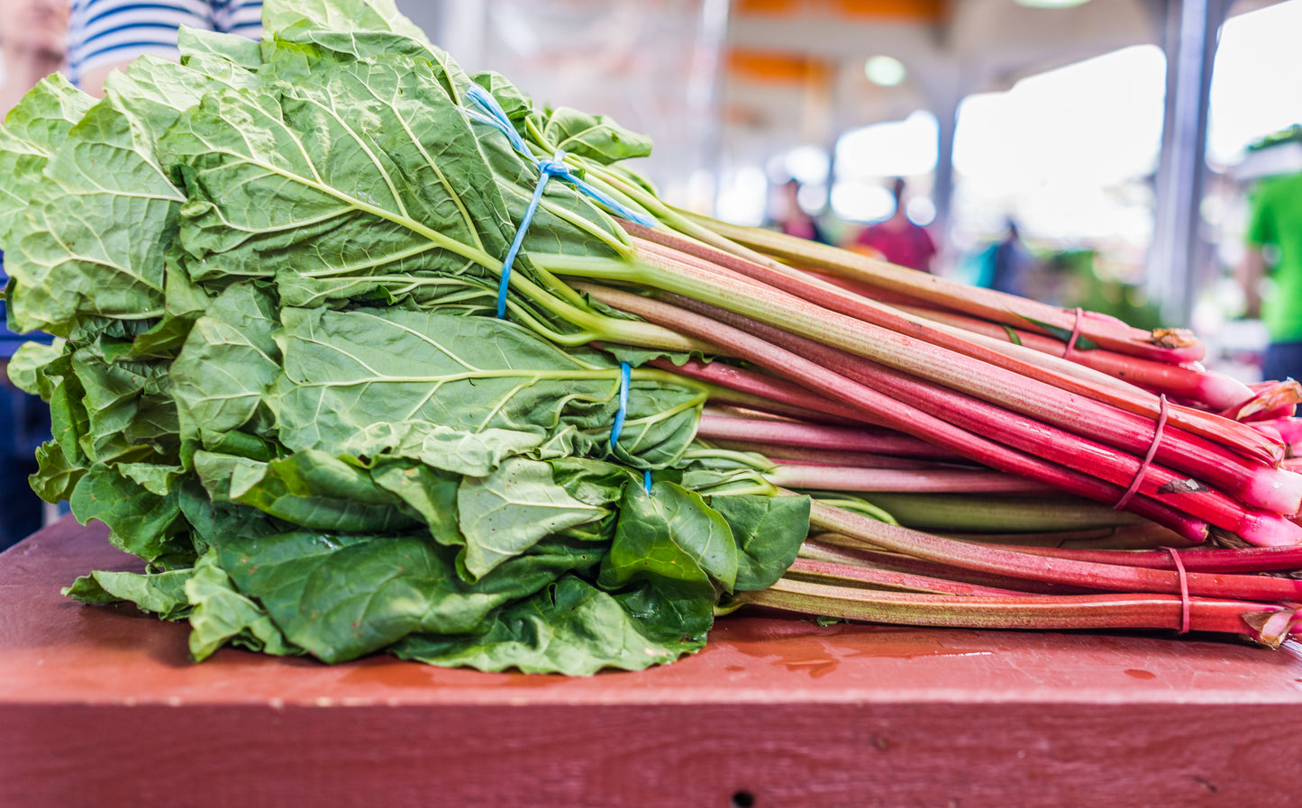 Large bunches Rhubarb - Grown Locally and organic. $7 Bunch