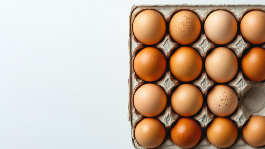 Barn Laid Caterers Eggs - 30 to a tray