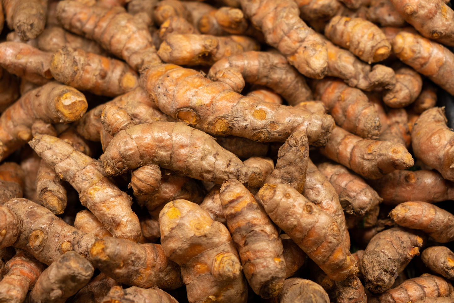 Local Organic Fresh Turmeric (100 grams) $3