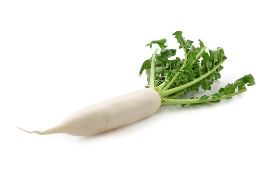 Daikon Radish (picked fresh from our farm when you order)