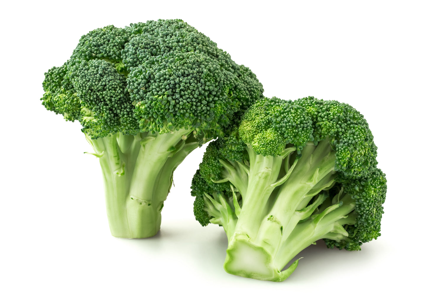 Broccoli Large Heads $2.50 piece