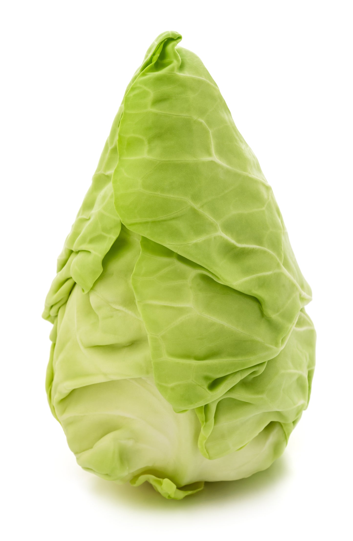 Sugarloaf Cabbage New Season - Extra sweet - $5 each