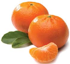 Fresh Juicy Mandarins $3 Kilo